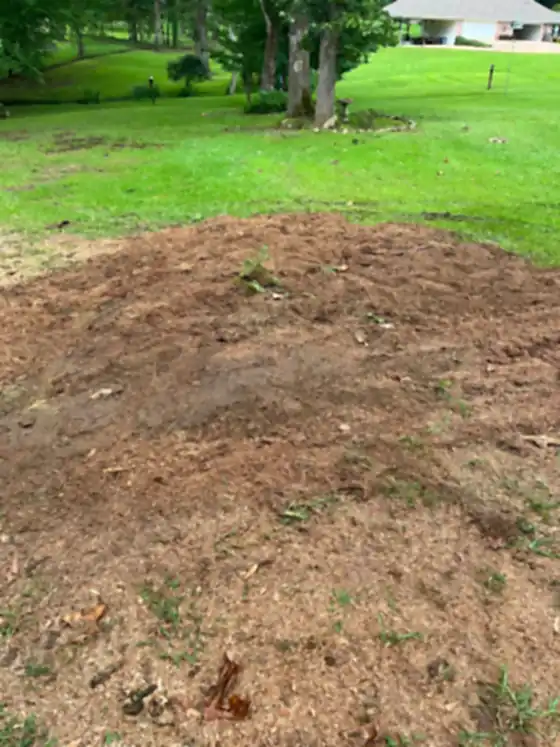 Mound of fresh grindings sitting on a green lawn
