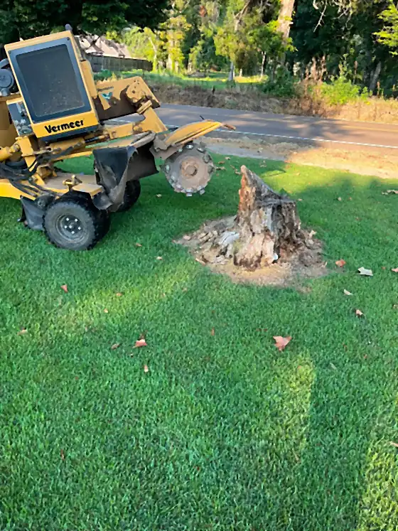 Vermeer SC352 stump grinder parked beside a weathered stump, cutter wheel and teeth visible