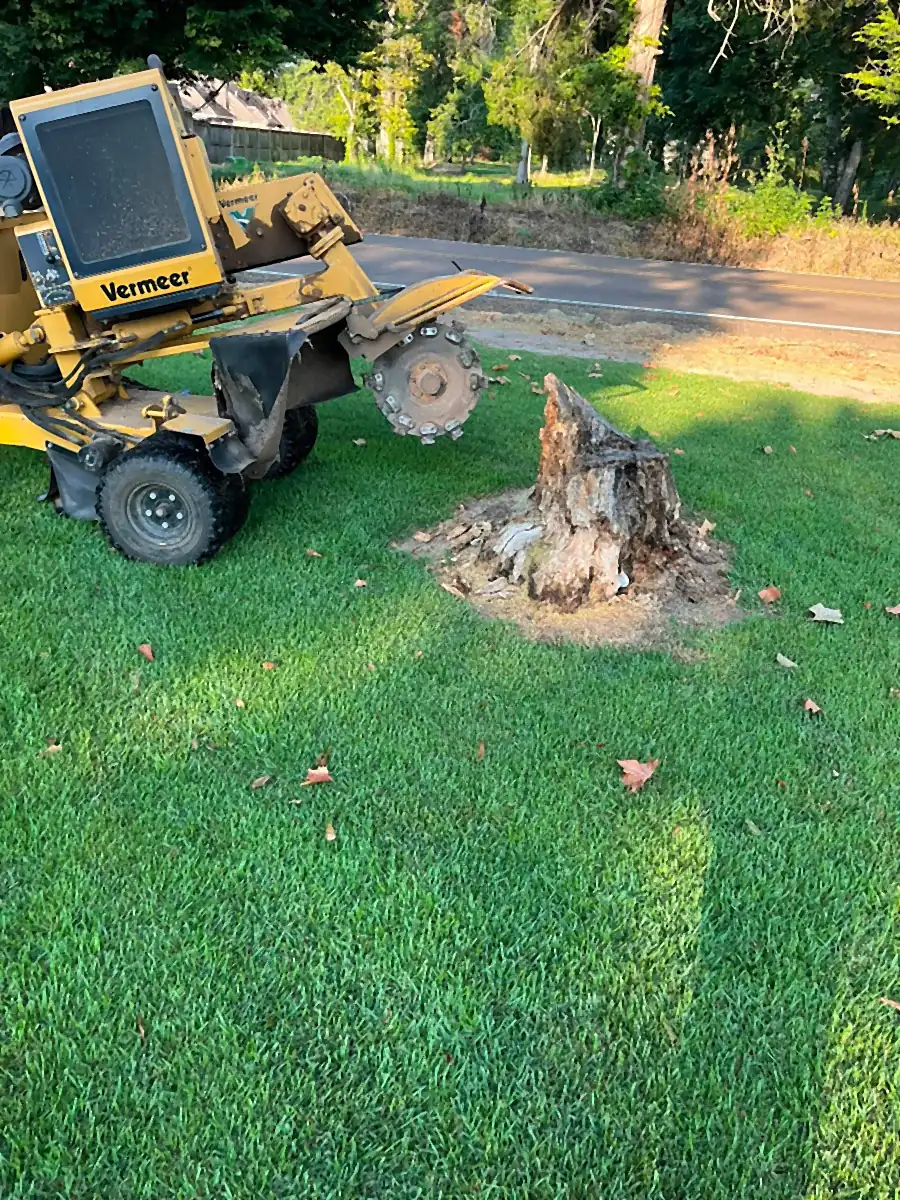 Vermeer SC352 stump grinder parked beside a weathered stump, cutter wheel and teeth visible