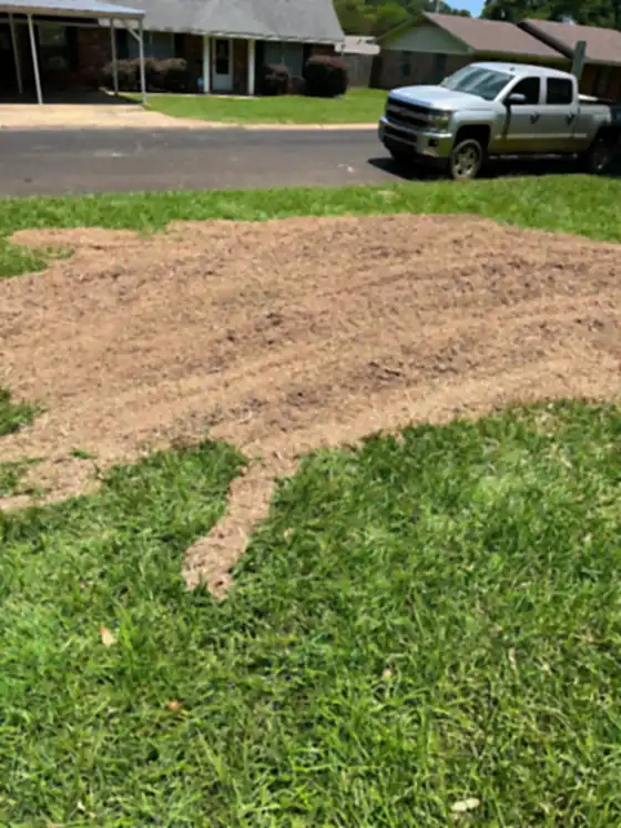 Driveway with a pickup parked and the stump area ground flat