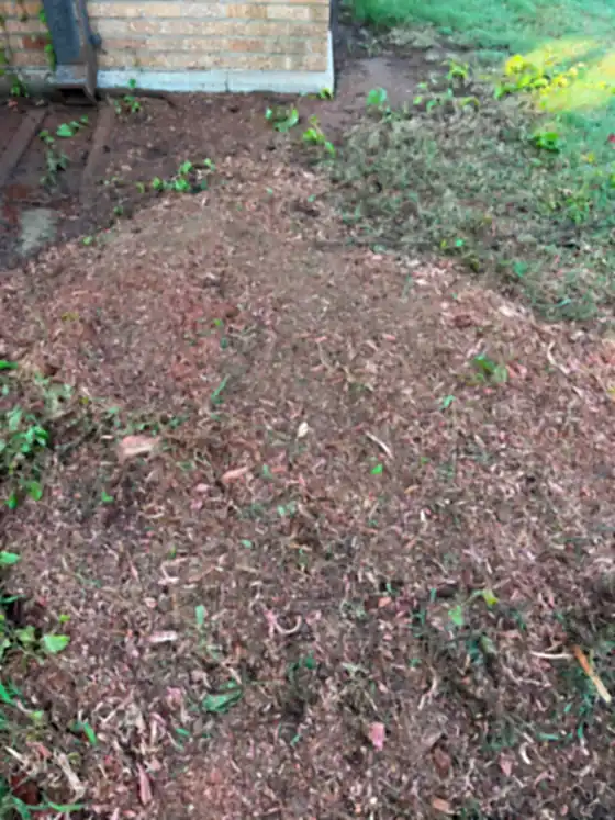 Ground-out stump area tight against the corner of a brick house