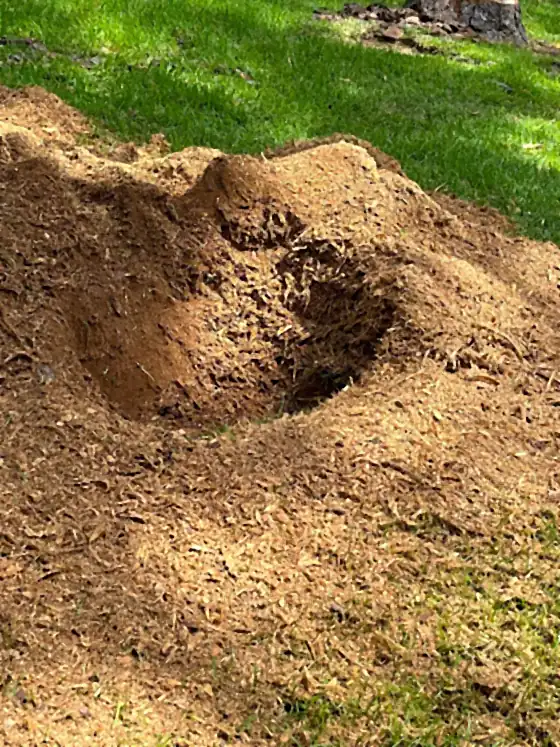 Pile of grindings with the ground-out hole still visible beneath