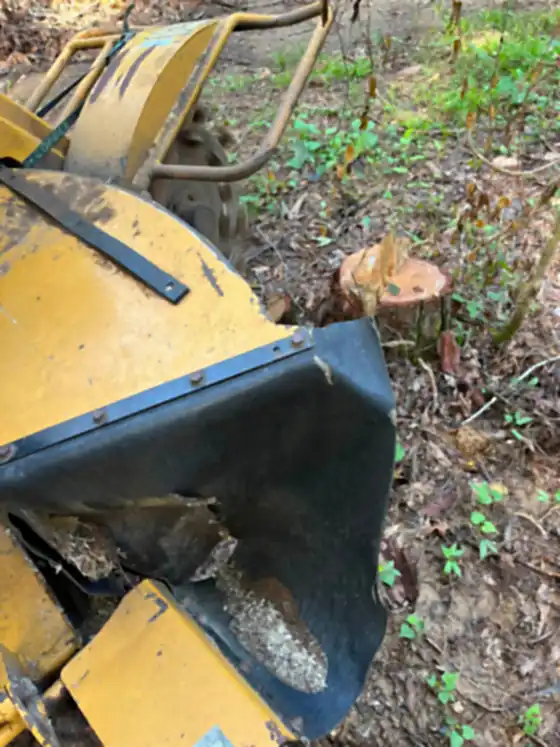 The grinder working at a small stump in rough brush