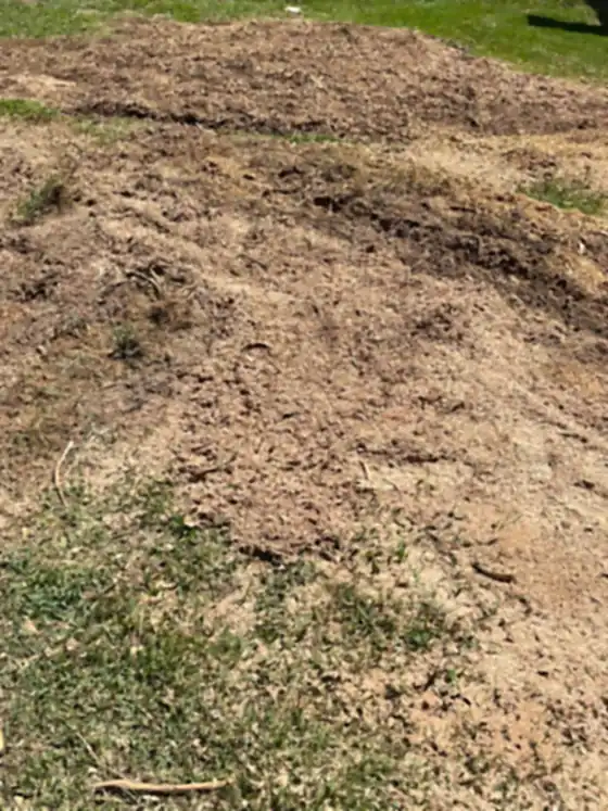 Grindings spread across bare ground after the job