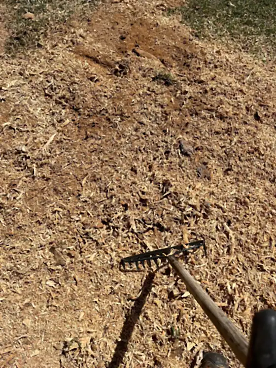 A rake laid across the grindings after the stump was ground out