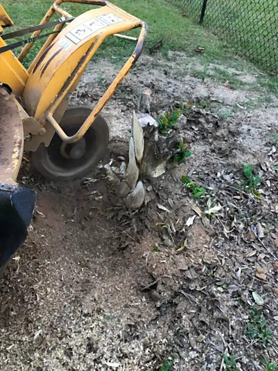 The cutter wheel grinding a stump hard against a chain-link fence