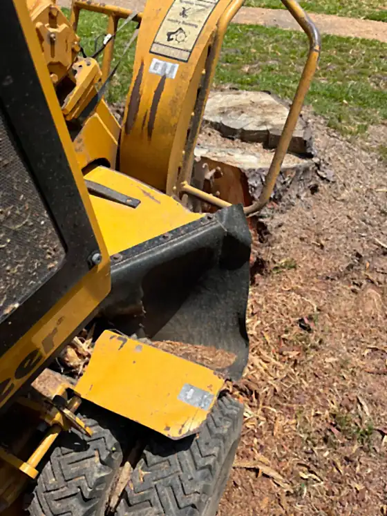 The grinder and its wheels close up beside a stump