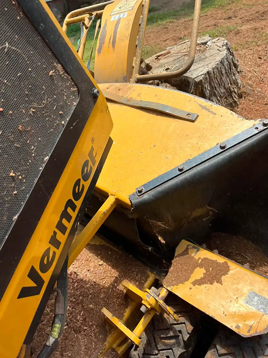 Close view of the Vermeer name on the machine at a big stump