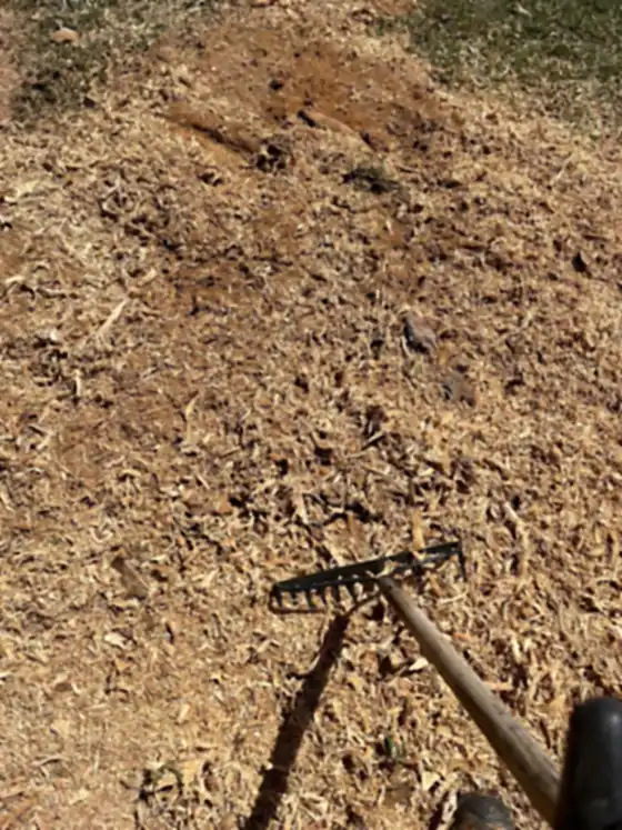 A rake resting on the grindings at the end of the job